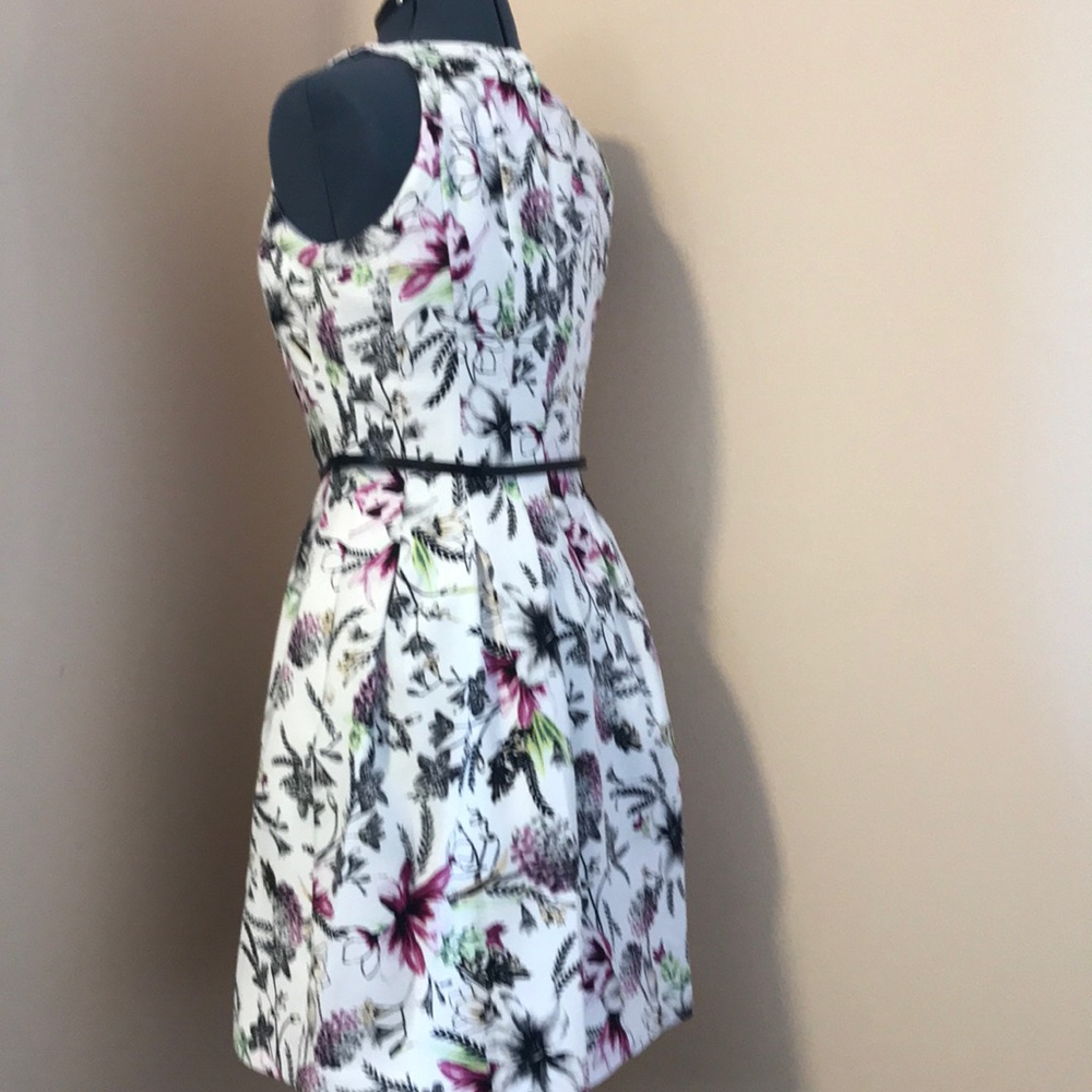 Just in time for Spring, a Beautiful Dress - Picture 2 of 5